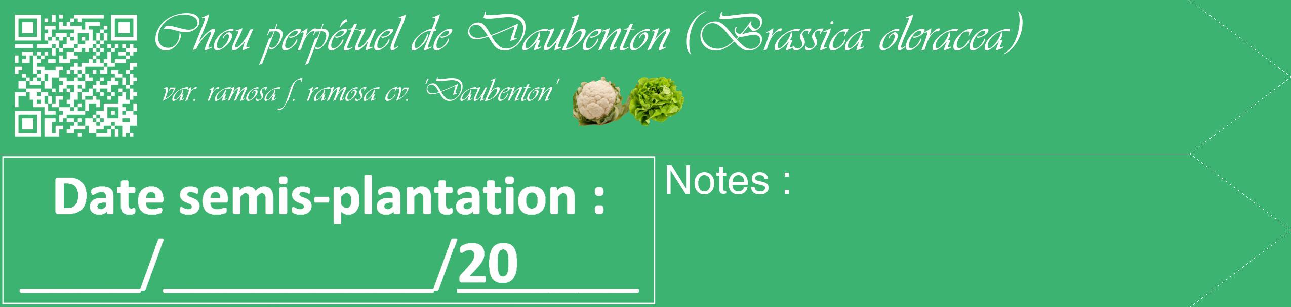 Étiquette de : Brassica oleracea var. ramosa f. ramosa cv. 'Daubenton' - format c - style blanche12_simple_simpleviv avec qrcode et comestibilité simplifiée