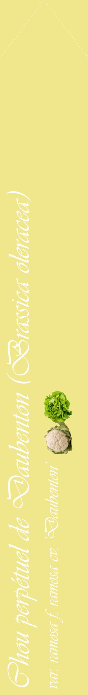Étiquette de : Brassica oleracea var. ramosa f. ramosa cv. 'Daubenton' - format c - style blanche20simple_simple_simpleviv avec comestibilité simplifiée - position verticale