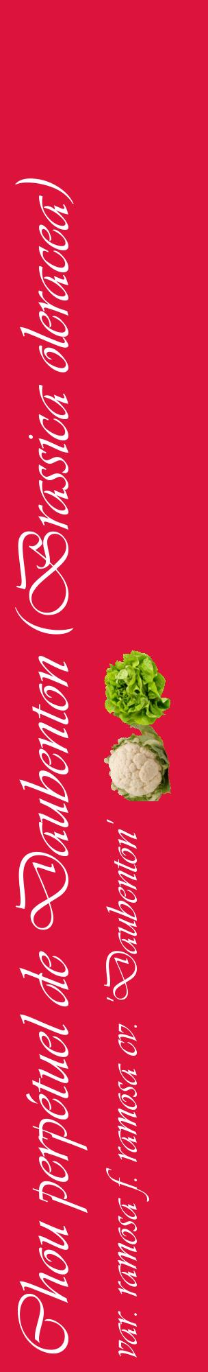 Étiquette de : Brassica oleracea var. ramosa f. ramosa cv. 'Daubenton' - format c - style blanche36_basiqueviv avec comestibilité simplifiée