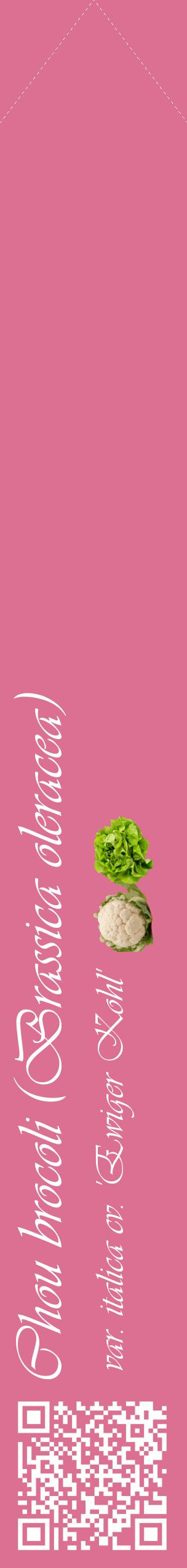 Étiquette de : Brassica oleracea var. italica cv. 'Ewiger Kohl' - format c - style blanche44_simpleviv avec qrcode et comestibilité simplifiée