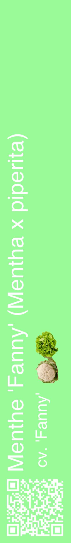 Étiquette de : Mentha x piperita cv. 'Fanny' - format c - style blanche14_basiquehel avec qrcode et comestibilité simplifiée