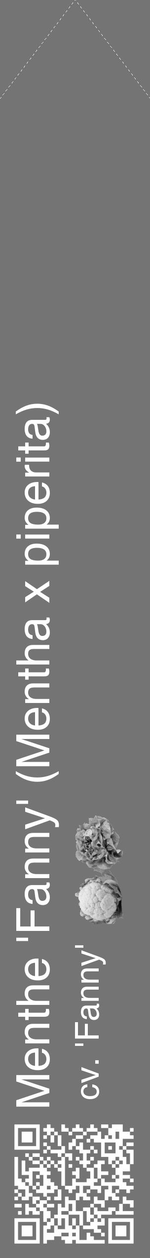 Étiquette de : Mentha x piperita cv. 'Fanny' - format c - style blanche26_simple_simplehel avec qrcode et comestibilité simplifiée - position verticale