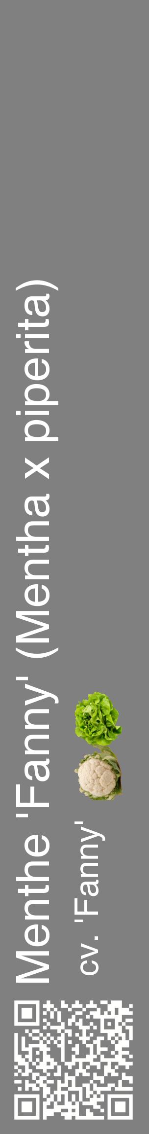 Étiquette de : Mentha x piperita cv. 'Fanny' - format c - style blanche57_basiquehel avec qrcode et comestibilité simplifiée