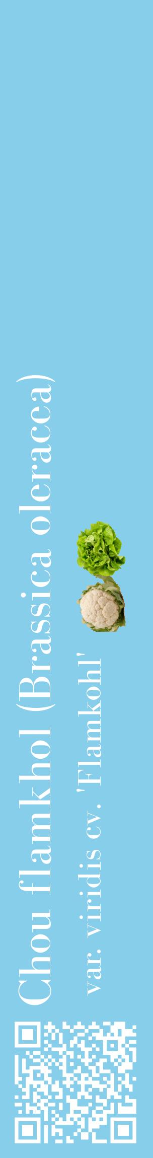 Étiquette de : Brassica oleracea var. viridis cv. 'Flamkohl' - format c - style blanche1_basiquebod avec qrcode et comestibilité simplifiée