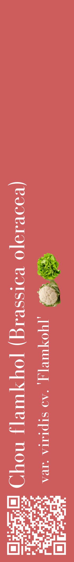 Étiquette de : Brassica oleracea var. viridis cv. 'Flamkohl' - format c - style blanche35_basiquebod avec qrcode et comestibilité simplifiée