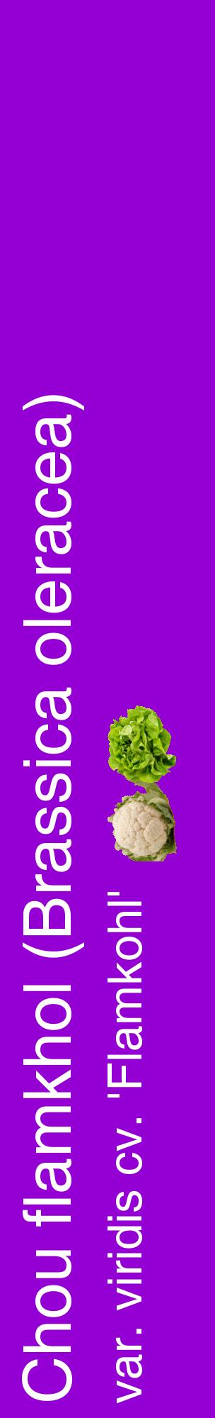 Étiquette de : Brassica oleracea var. viridis cv. 'Flamkohl' - format c - style blanche48_basiquehel avec comestibilité simplifiée