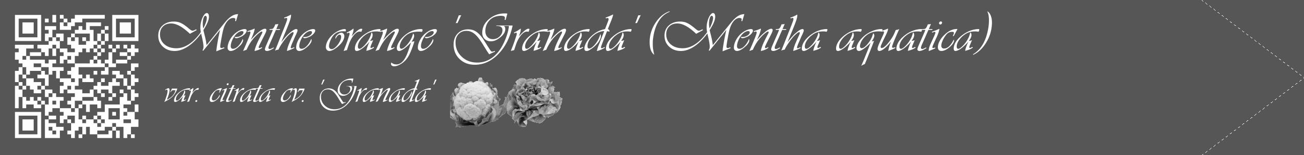 Étiquette de : Mentha aquatica var. citrata cv. 'Granada' - format c - style blanche45_simple_simpleviv avec qrcode et comestibilité simplifiée
