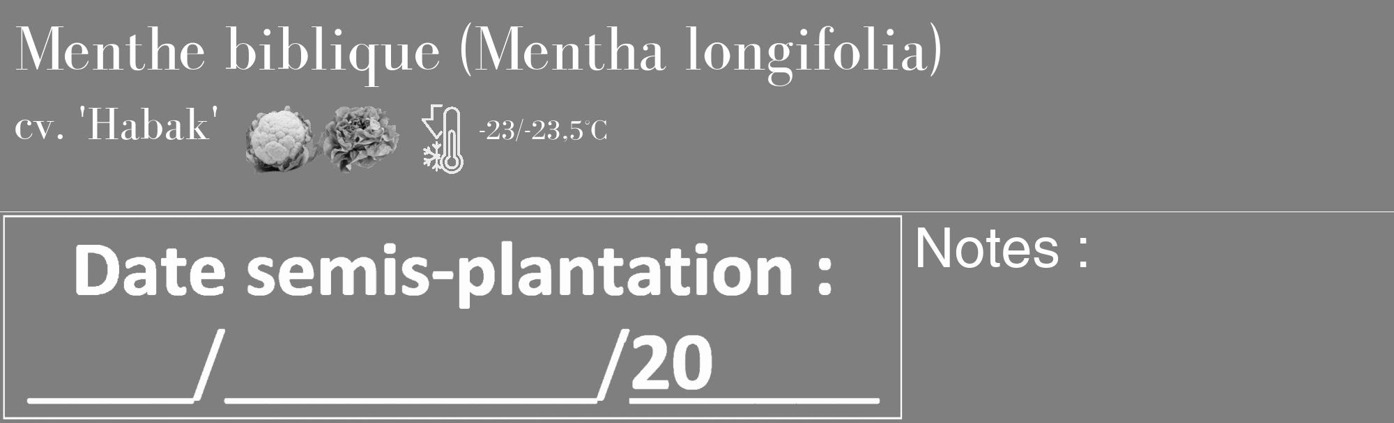 Étiquette de : Mentha longifolia cv. 'Habak' - format c - style blanche31_basique_basiquebod avec comestibilité simplifiée