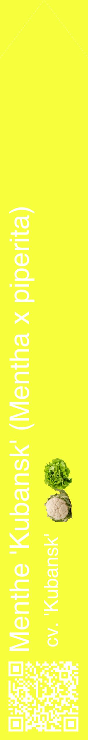 Étiquette de : Mentha x piperita cv. 'Kubansk' - format c - style blanche18_simplehel avec qrcode et comestibilité simplifiée