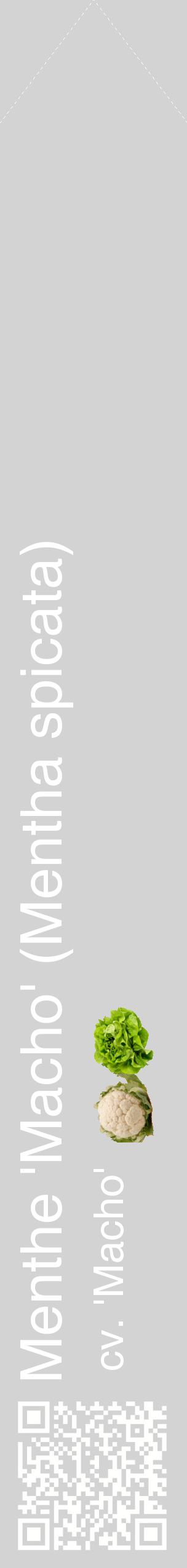 Étiquette de : Mentha spicata cv. 'Macho' - format c - style blanche56_simplehel avec qrcode et comestibilité simplifiée