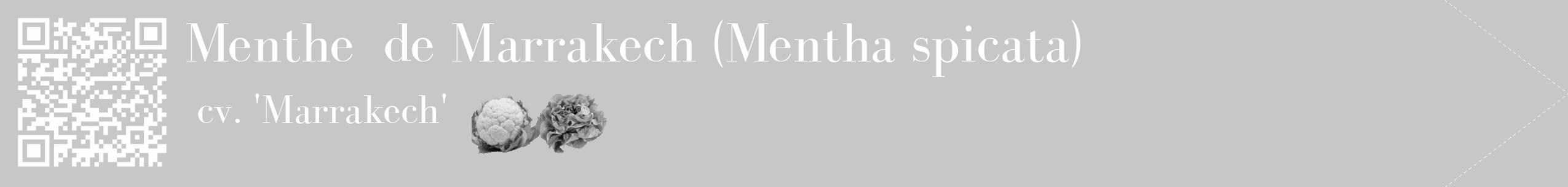 Étiquette de : Mentha spicata cv. 'Marrakech' - format c - style blanche15_simple_simplebod avec qrcode et comestibilité simplifiée