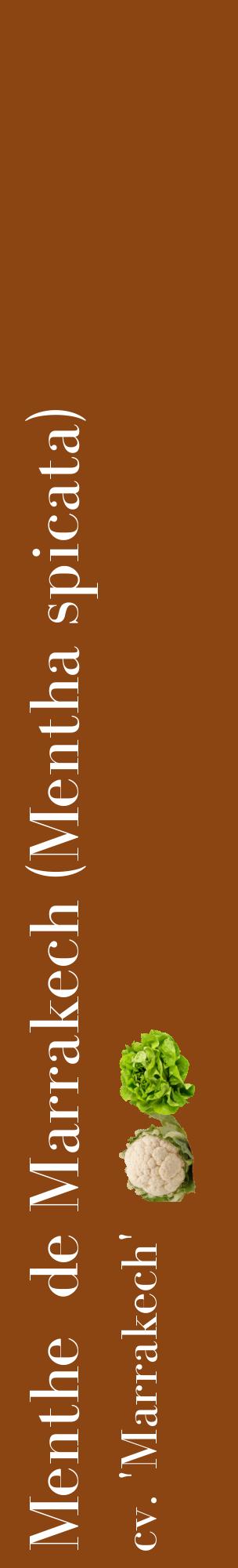 Étiquette de : Mentha spicata cv. 'Marrakech' - format c - style blanche30_basiquebod avec comestibilité simplifiée