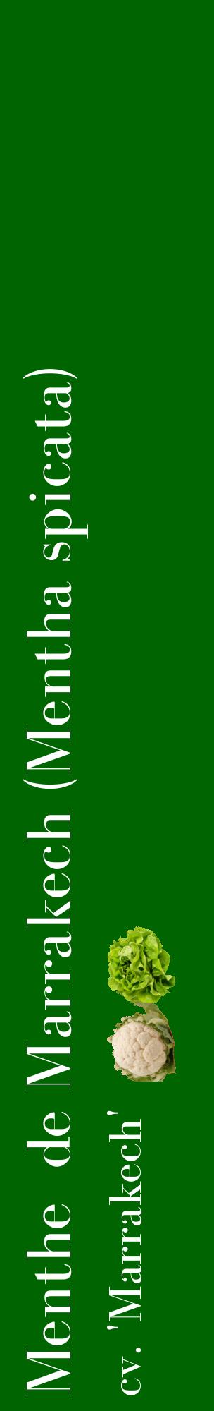 Étiquette de : Mentha spicata cv. 'Marrakech' - format c - style blanche8_basiquebod avec comestibilité simplifiée