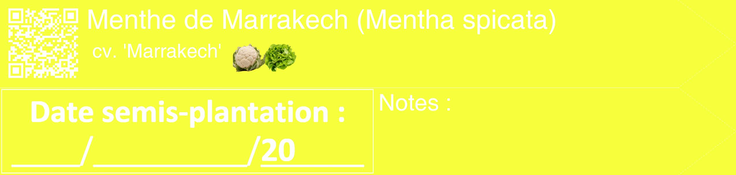 Étiquette de : Mentha spicata cv. 'Marrakech' - format c - style blanche18_simple_simplehel avec qrcode et comestibilité simplifiée