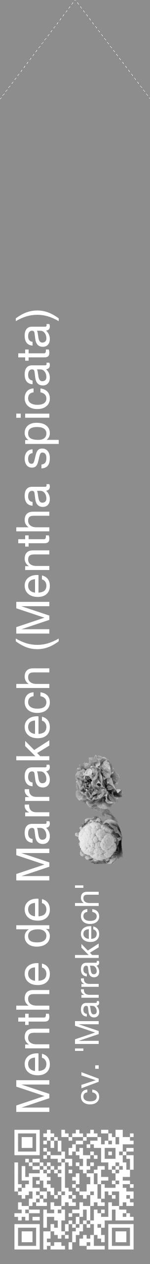 Étiquette de : Mentha spicata cv. 'Marrakech' - format c - style blanche2_simple_simplehel avec qrcode et comestibilité simplifiée - position verticale