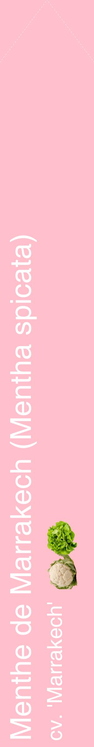 Étiquette de : Mentha spicata cv. 'Marrakech' - format c - style blanche40_simplehel avec comestibilité simplifiée
