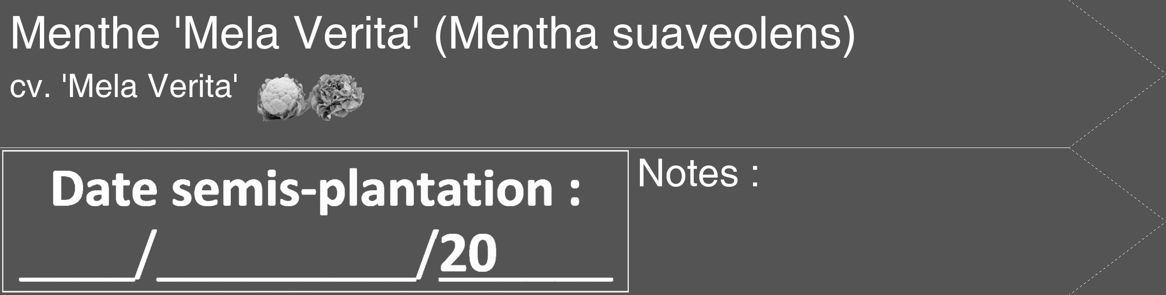 Étiquette de : Mentha suaveolens cv. 'Mela Verita' - format c - style blanche36_simple_simplehel avec comestibilité simplifiée