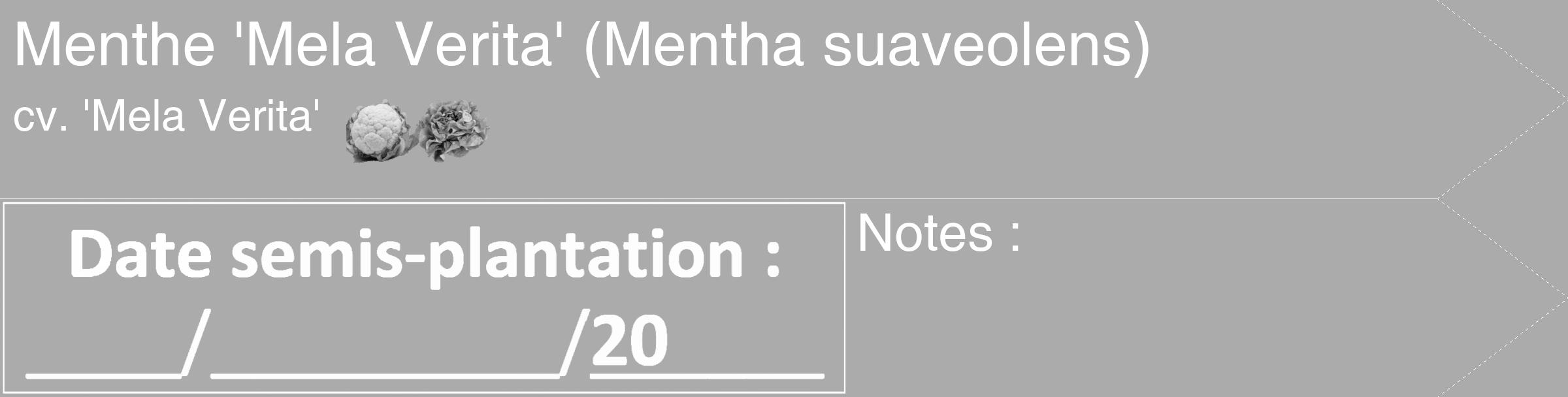 Étiquette de : Mentha suaveolens cv. 'Mela Verita' - format c - style blanche37_simple_simplehel avec comestibilité simplifiée