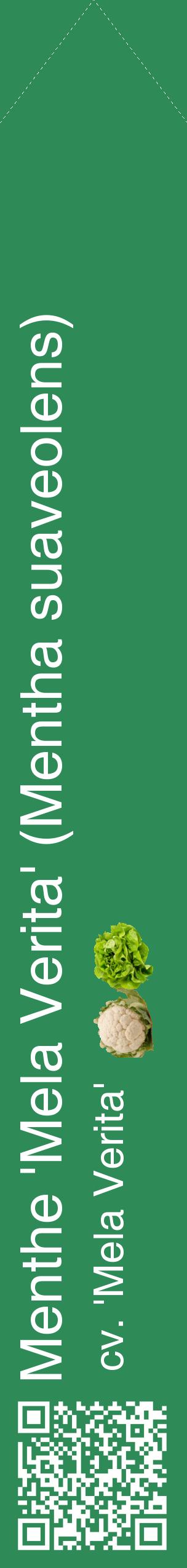 Étiquette de : Mentha suaveolens cv. 'Mela Verita' - format c - style blanche11_simplehel avec qrcode et comestibilité simplifiée