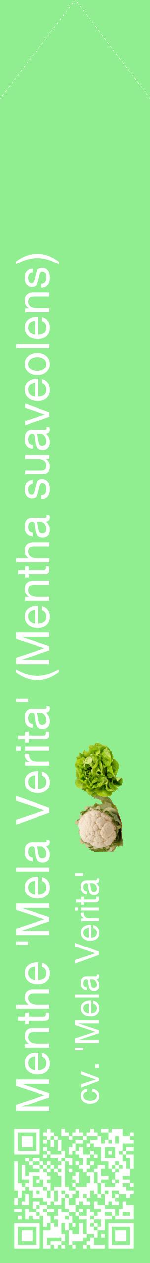 Étiquette de : Mentha suaveolens cv. 'Mela Verita' - format c - style blanche15_simplehel avec qrcode et comestibilité simplifiée