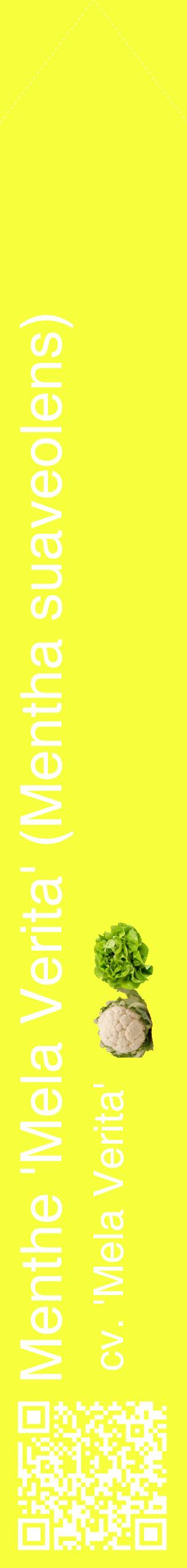 Étiquette de : Mentha suaveolens cv. 'Mela Verita' - format c - style blanche18_simplehel avec qrcode et comestibilité simplifiée