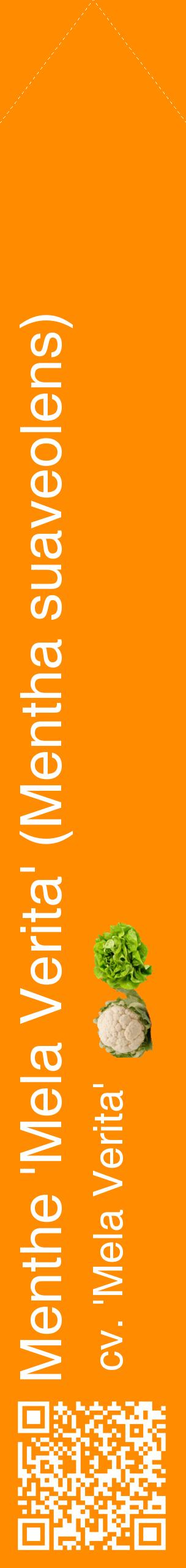 Étiquette de : Mentha suaveolens cv. 'Mela Verita' - format c - style blanche23_simplehel avec qrcode et comestibilité simplifiée
