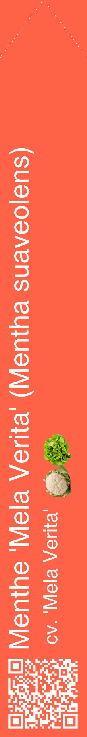 Étiquette de : Mentha suaveolens cv. 'Mela Verita' - format c - style blanche25_simplehel avec qrcode et comestibilité simplifiée