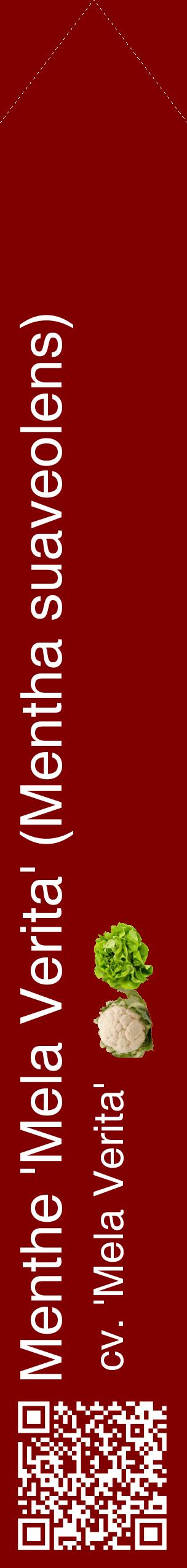 Étiquette de : Mentha suaveolens cv. 'Mela Verita' - format c - style blanche29_simplehel avec qrcode et comestibilité simplifiée