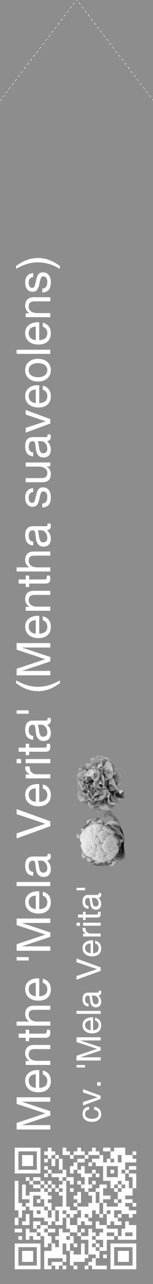 Étiquette de : Mentha suaveolens cv. 'Mela Verita' - format c - style blanche2_simple_simplehel avec qrcode et comestibilité simplifiée - position verticale