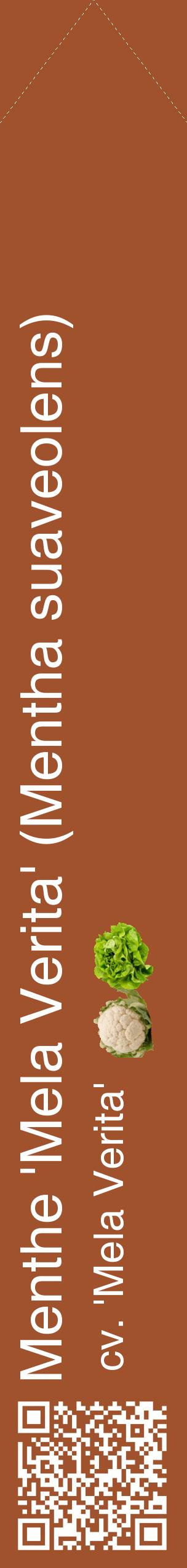 Étiquette de : Mentha suaveolens cv. 'Mela Verita' - format c - style blanche32_simplehel avec qrcode et comestibilité simplifiée