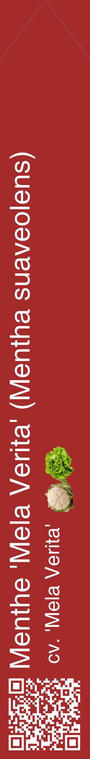Étiquette de : Mentha suaveolens cv. 'Mela Verita' - format c - style blanche33_simplehel avec qrcode et comestibilité simplifiée