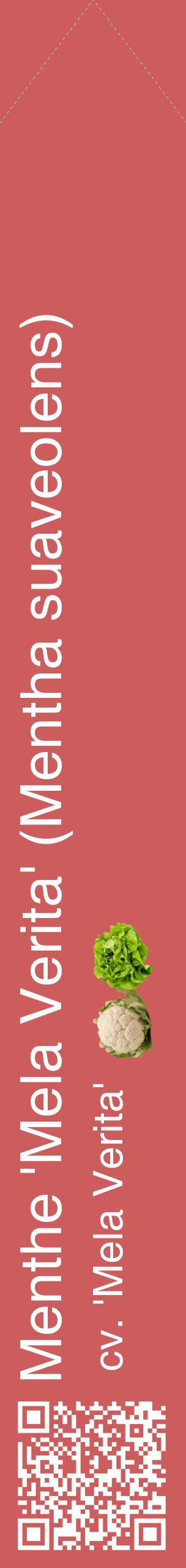 Étiquette de : Mentha suaveolens cv. 'Mela Verita' - format c - style blanche35_simplehel avec qrcode et comestibilité simplifiée