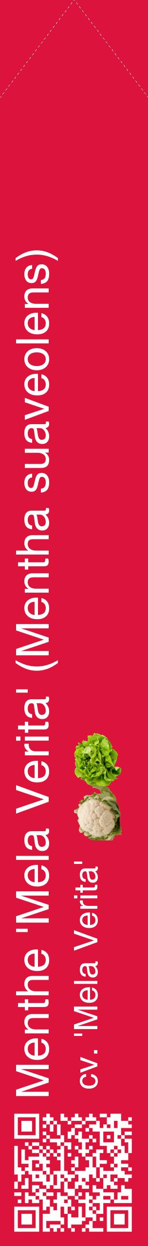 Étiquette de : Mentha suaveolens cv. 'Mela Verita' - format c - style blanche36_simplehel avec qrcode et comestibilité simplifiée