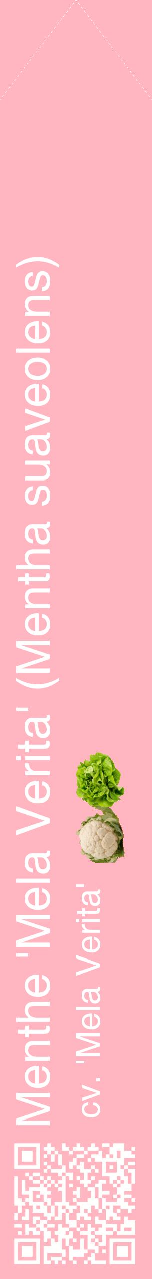 Étiquette de : Mentha suaveolens cv. 'Mela Verita' - format c - style blanche41_simplehel avec qrcode et comestibilité simplifiée