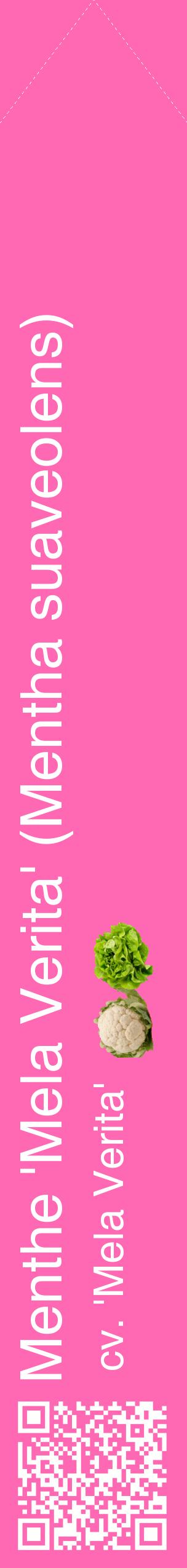 Étiquette de : Mentha suaveolens cv. 'Mela Verita' - format c - style blanche42_simplehel avec qrcode et comestibilité simplifiée