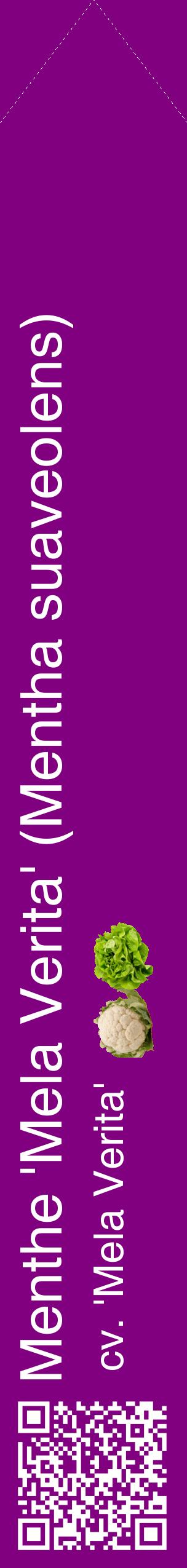 Étiquette de : Mentha suaveolens cv. 'Mela Verita' - format c - style blanche46_simplehel avec qrcode et comestibilité simplifiée
