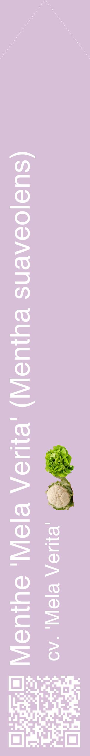 Étiquette de : Mentha suaveolens cv. 'Mela Verita' - format c - style blanche54_simplehel avec qrcode et comestibilité simplifiée
