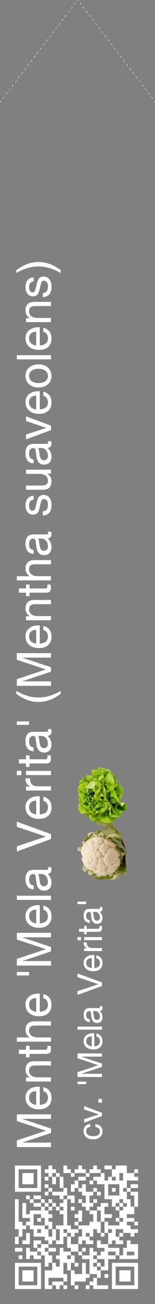 Étiquette de : Mentha suaveolens cv. 'Mela Verita' - format c - style blanche57_simplehel avec qrcode et comestibilité simplifiée