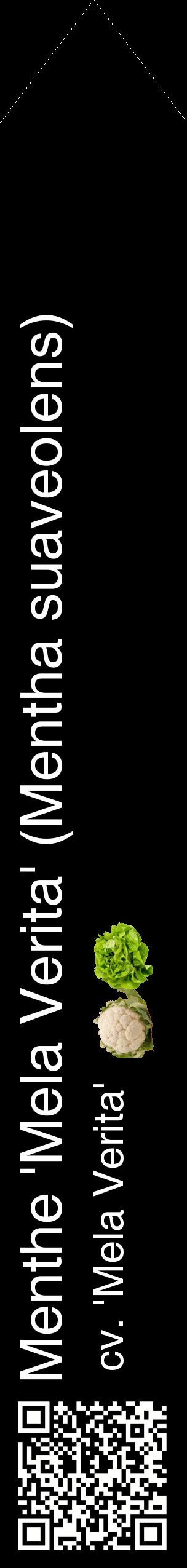 Étiquette de : Mentha suaveolens cv. 'Mela Verita' - format c - style blanche59_simplehel avec qrcode et comestibilité simplifiée