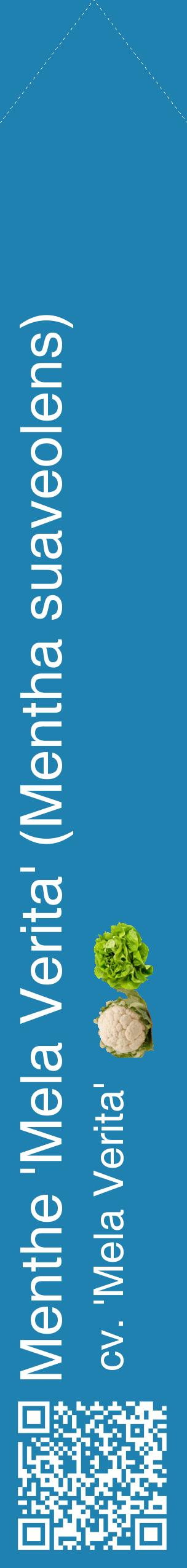 Étiquette de : Mentha suaveolens cv. 'Mela Verita' - format c - style blanche6_simplehel avec qrcode et comestibilité simplifiée