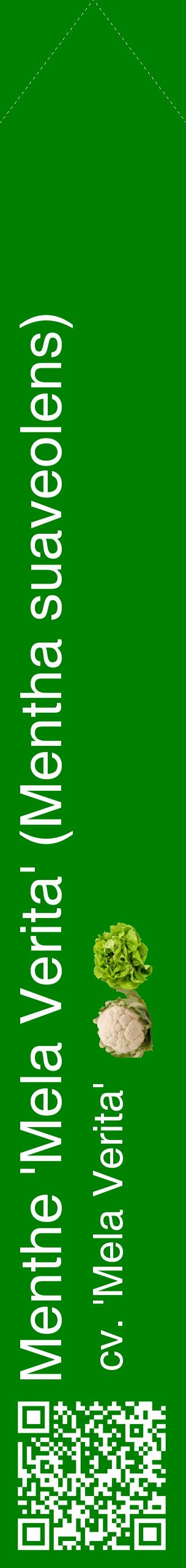Étiquette de : Mentha suaveolens cv. 'Mela Verita' - format c - style blanche9_simplehel avec qrcode et comestibilité simplifiée