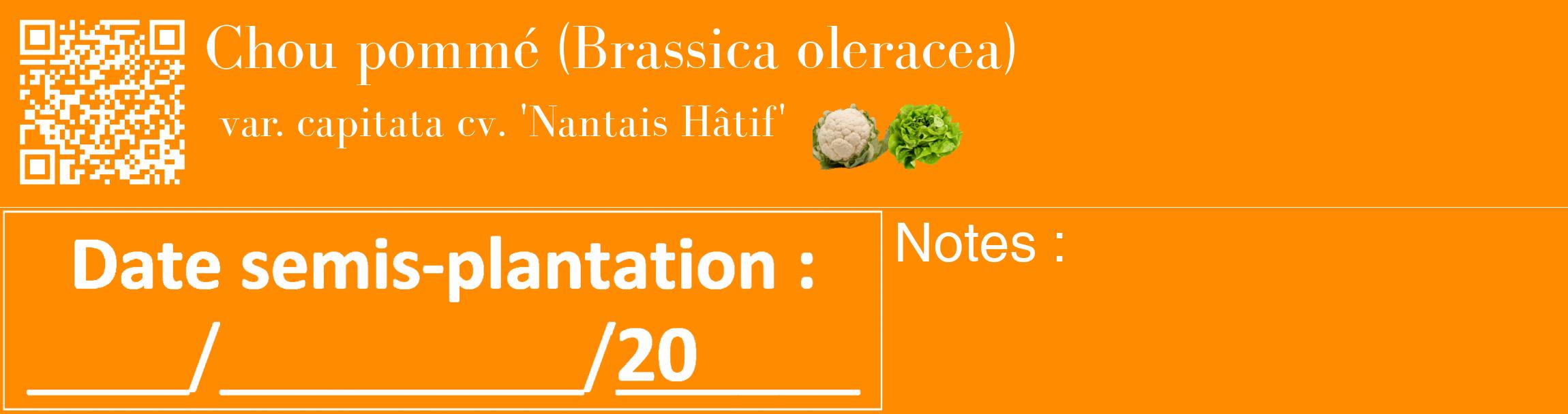 Étiquette de : Brassica oleracea var. capitata cv. 'Nantais Hâtif' - format c - style blanche23_basique_basiquebod avec qrcode et comestibilité simplifiée