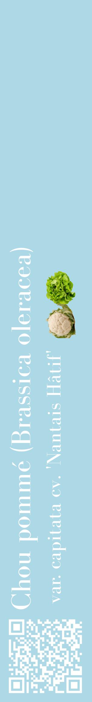 Étiquette de : Brassica oleracea var. capitata cv. 'Nantais Hâtif' - format c - style blanche0_basiquebod avec qrcode et comestibilité simplifiée