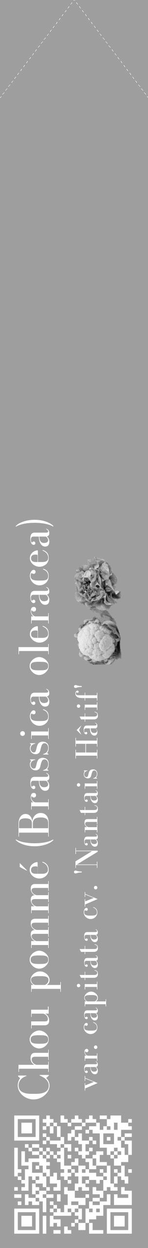 Étiquette de : Brassica oleracea var. capitata cv. 'Nantais Hâtif' - format c - style blanche23_simple_simplebod avec qrcode et comestibilité simplifiée - position verticale