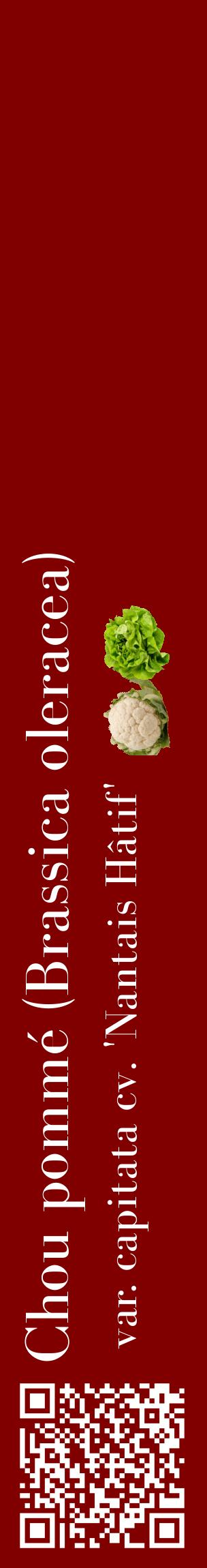 Étiquette de : Brassica oleracea var. capitata cv. 'Nantais Hâtif' - format c - style blanche29_basiquebod avec qrcode et comestibilité simplifiée