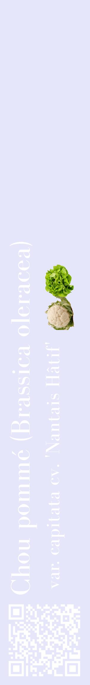 Étiquette de : Brassica oleracea var. capitata cv. 'Nantais Hâtif' - format c - style blanche55_basiquebod avec qrcode et comestibilité simplifiée