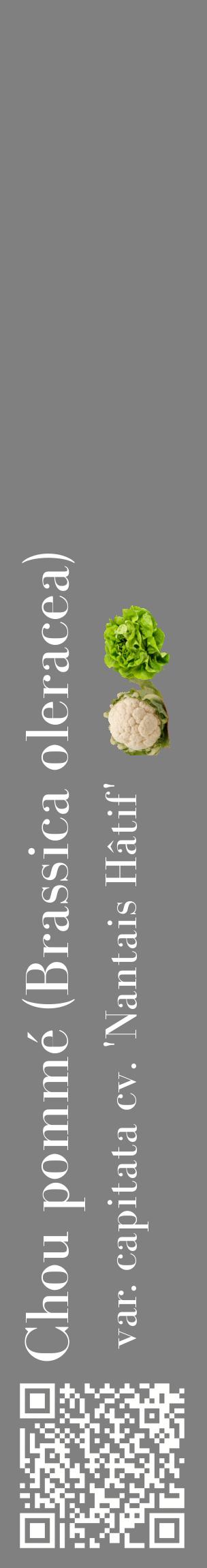 Étiquette de : Brassica oleracea var. capitata cv. 'Nantais Hâtif' - format c - style blanche57_basiquebod avec qrcode et comestibilité simplifiée