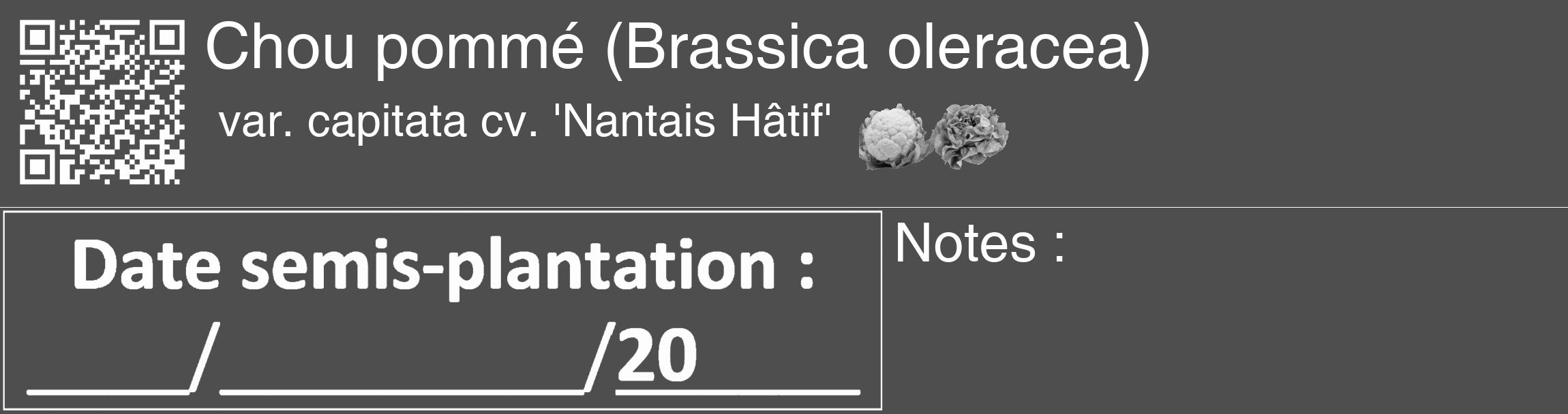 Étiquette de : Brassica oleracea var. capitata cv. 'Nantais Hâtif' - format c - style blanche33_basique_basiquehel avec qrcode et comestibilité simplifiée