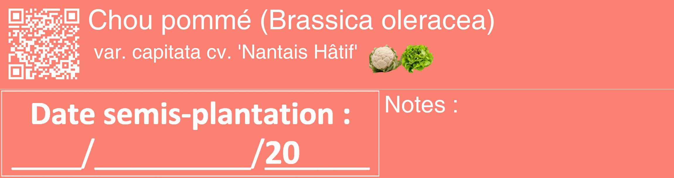 Étiquette de : Brassica oleracea var. capitata cv. 'Nantais Hâtif' - format c - style blanche38_basique_basiquehel avec qrcode et comestibilité simplifiée