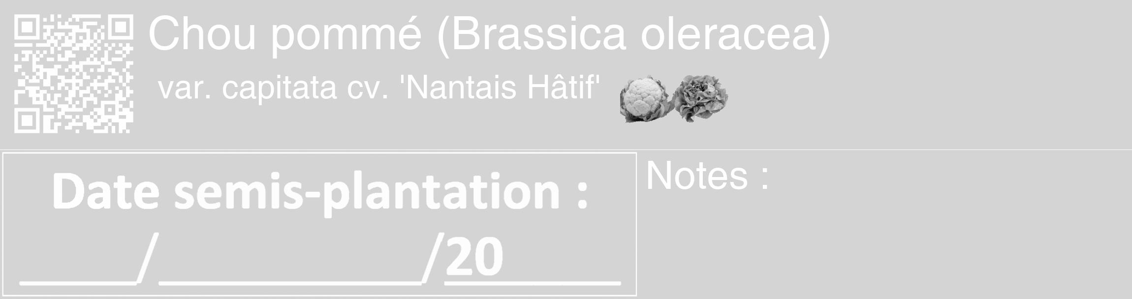 Étiquette de : Brassica oleracea var. capitata cv. 'Nantais Hâtif' - format c - style blanche40_basique_basiquehel avec qrcode et comestibilité simplifiée